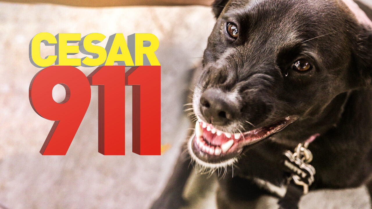 is-cesar-911-on-netflix-where-to-watch-the-series-new-on-netflix-usa