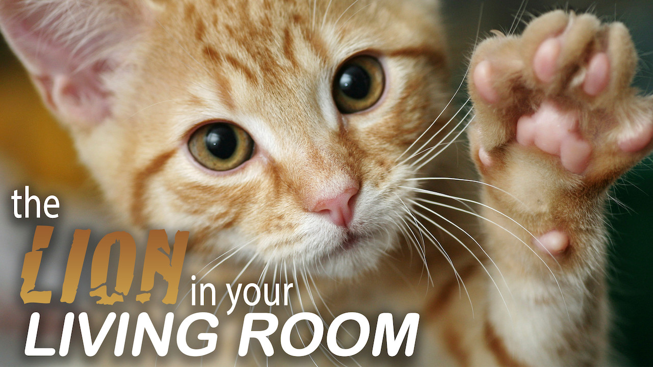 Lion In Your Living Room Download