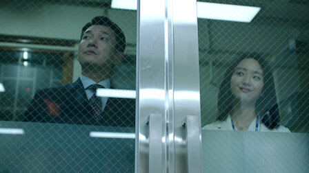 Watch Life Netflix Official Site