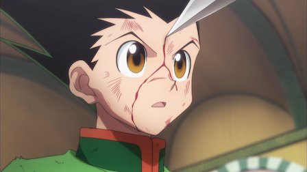 Hunter X Hunter 2011 Netflix