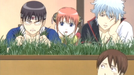 gintama season 1 episode highlights