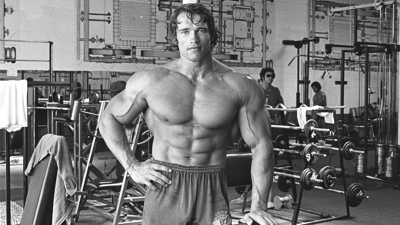 arnold schwarzenegger movies biography