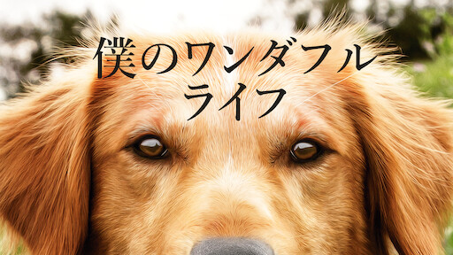 僕のワンダフル・ライフ | Netflix