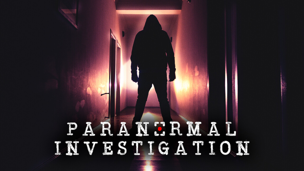 netflix investigation series