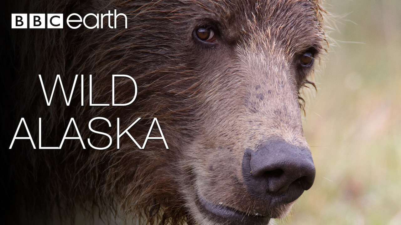 Is 'Wild Alaska' on Netflix? Where to Watch the Documentary New On