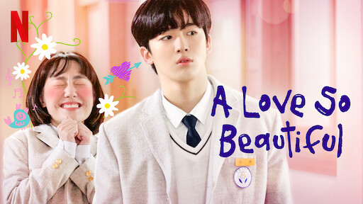 Watch A Love So Beautiful Netflix