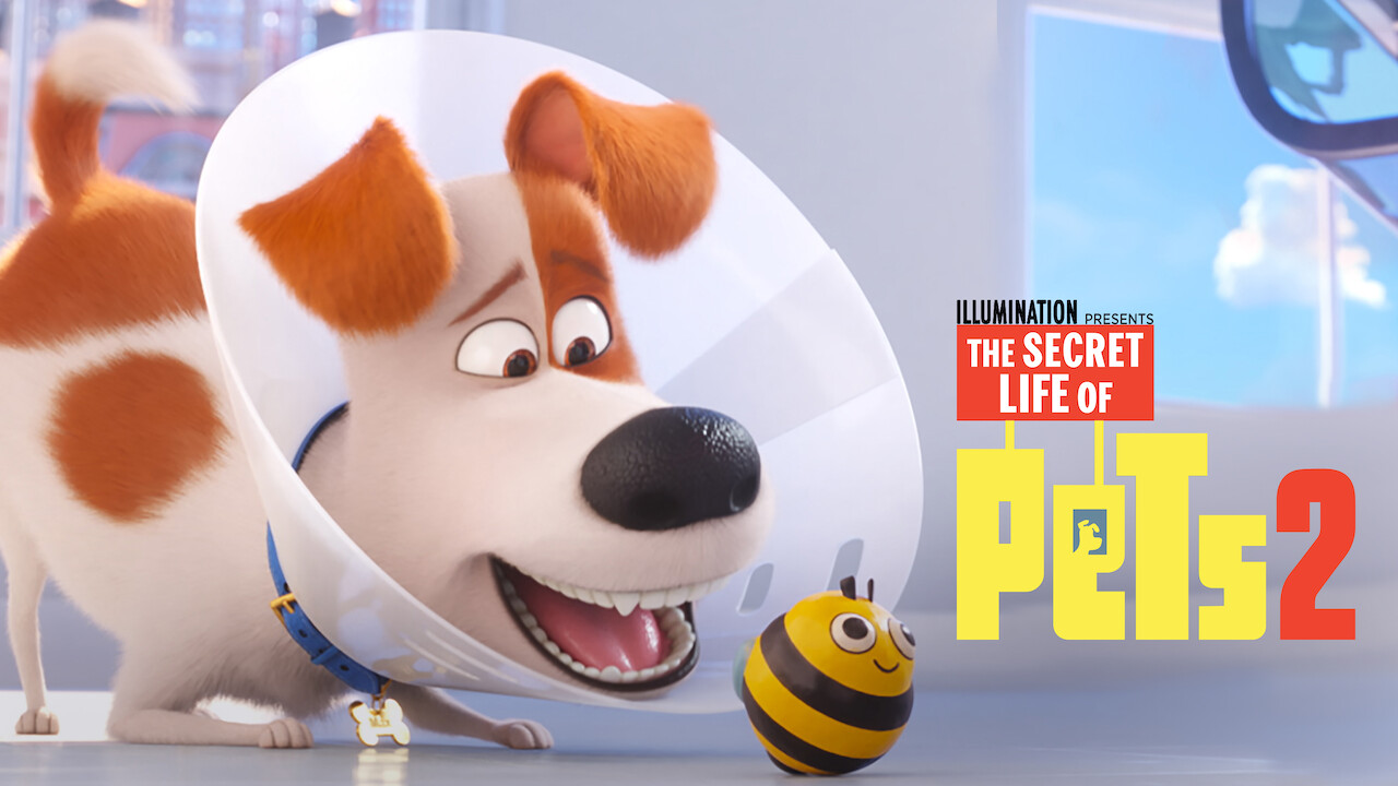 when is secret life of pets movie available on directv