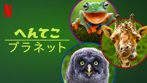 かわいい動物たち 72選 Netflix かわいい動物たち 72選 Netflix