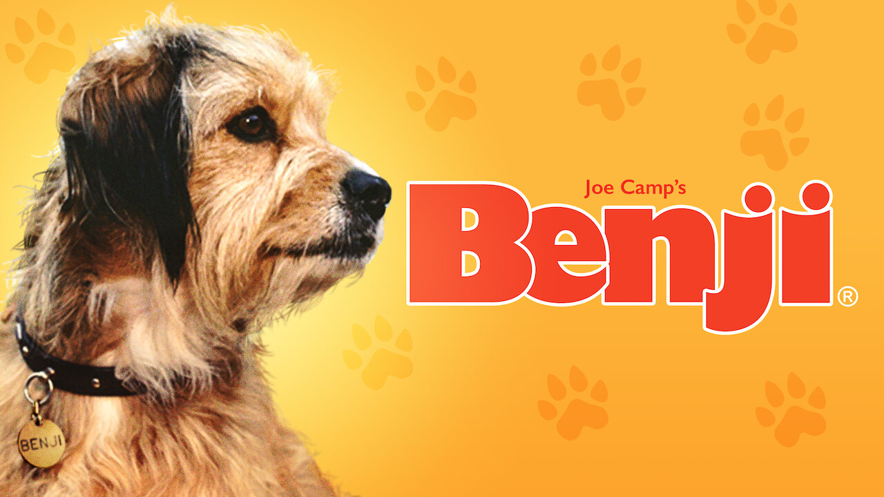 Is 'Benji' on Netflix? Where to Watch the Movie - New On Netflix USA