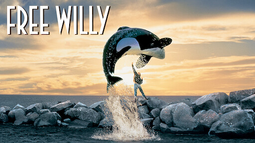 Watch Free Willy | Netflix